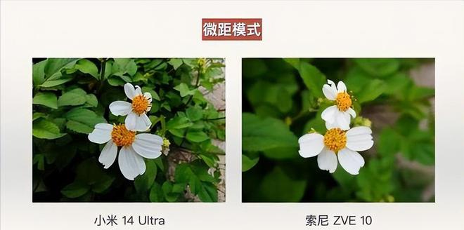 索尼占比97％再看中国海信差距太大了龙8中国唯一入口日本电视市场现状！(图2)